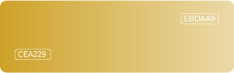 NIKX Portfolio