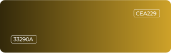 NIKX Portfolio